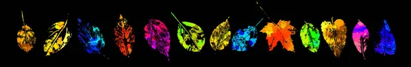 Un conjunto de impresiones de hojas multicolores. Medios mixtos. Ilustración vectorial — Archivo Imágenes Vectoriales