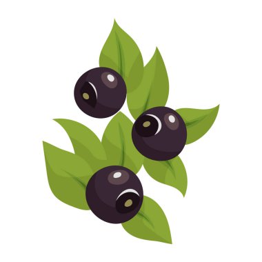 Beyaz arka plan üzerinde izole yaban mersini. Renkli yarı ve sulu bilberry tamamının parlak vektör çizimi. Taze çizgi film