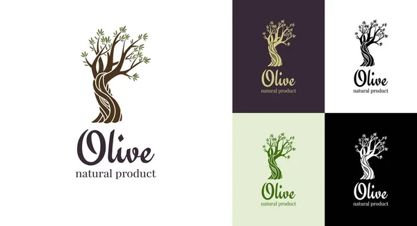 Елегантне оливкове дерево ізольована ікона. Концепція дизайну логотипу векторного дерева. Ілюстрація силуету оливкового дерева. Натуральна рослинна емблема оливкової олії — стоковий вектор