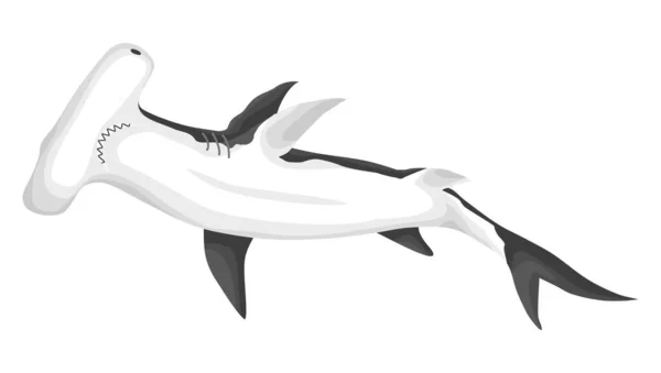 ฉลามหัวค้อน นักล่าทะเลที่อันตรายมาก สัตว์ทะเลใต้น้ํา ภาพเวกเตอร์ของสัตว์ป่าทางทะเล — ภาพเวกเตอร์สต็อก