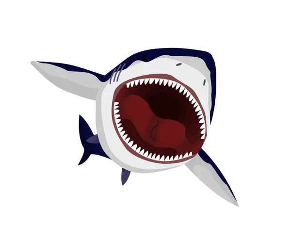 Rekin. Wielki niebezpieczny drapieżnik morski. Zębaty pływający wściekły rekin. Podwodny charakter zwierzęcia morskiego. Ilustracja wektora dzikiej fauny i flory morskiej — Wektor stockowy