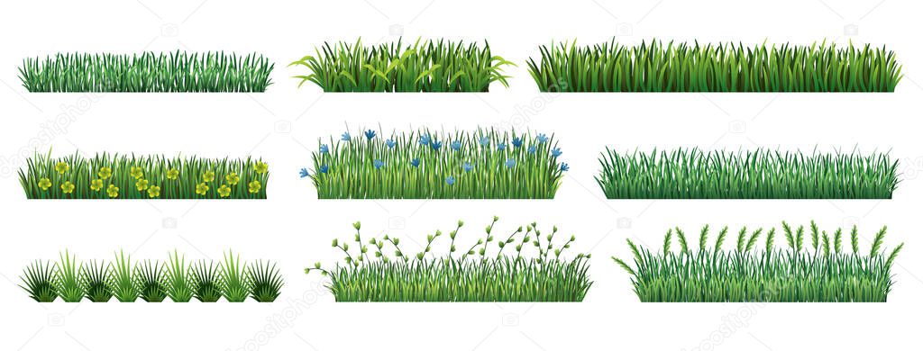 Collection Green grass borders. Fresh green grass isolated on transparent background. Vector Illustration for use as design element