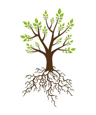 Güçlü bitki kökleri silueti olan soyut yeşil ağaç. Yeşillik kökü olan ağaç. Şirket marka kimlik tasarım şablonu