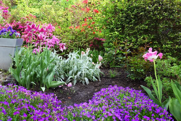 色彩缤纷的花圃，在春天的花园 — 图库照片