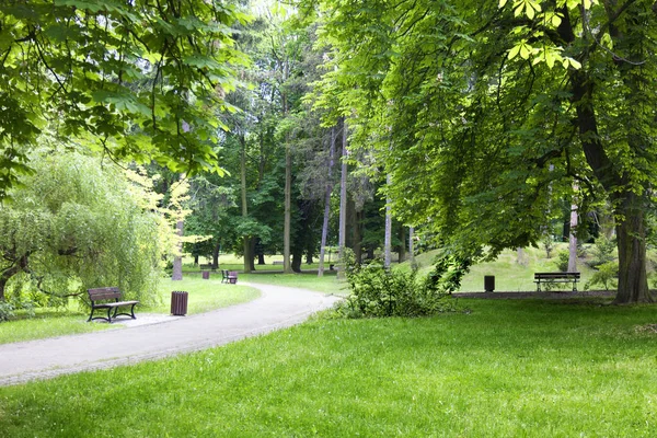 Πάρκο της πόλης με πάγκο και μονοπάτι — Φωτογραφία Αρχείου