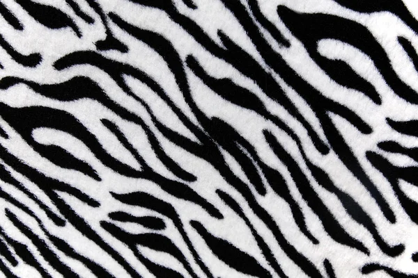 Zebra background texture — Stock Photo, Image