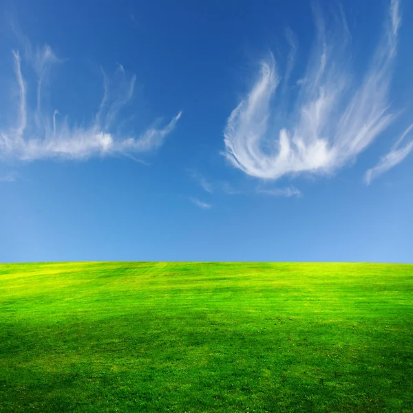 绿色的田野和美丽的天空, 伟大的背景 — 图库照片