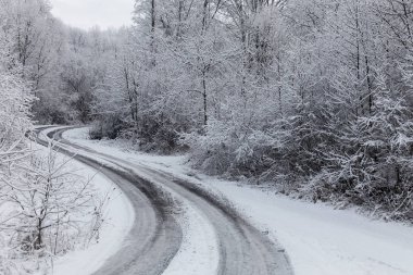 Kış yol buzlu ormanı karla kaplı buz fırtına ve kar yağışı sonra