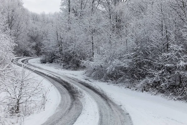 Estrada de inverno através da floresta gelada coberta de neve após tempestade de gelo e queda de neve — Fotografia de Stock