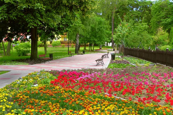 Spring flowers park in the city — Stock Photo, Image