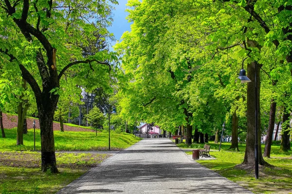 Zelený park ulička ve městě — Stock fotografie