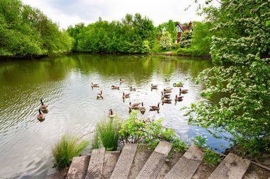 Yeşil ağaçlarıyla çevrili bahar Nehri