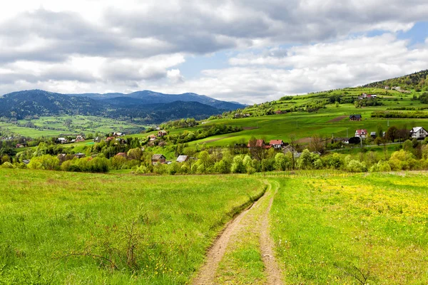Springtime landscape in the mountain — Stock Photo, Image