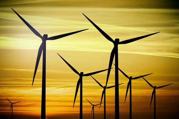 Wind turbines farm at sunset — Stock Photo, Image