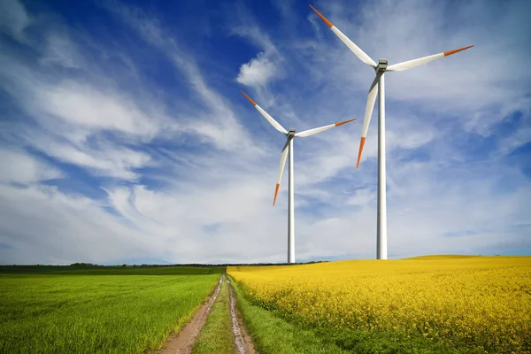 Globale Investitionen in grüne Energie — Stockfoto