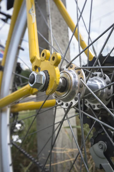 Renkli Bisiklet Güneşli Bir Günde Motorun Küçük Parçaları — Stok fotoğraf