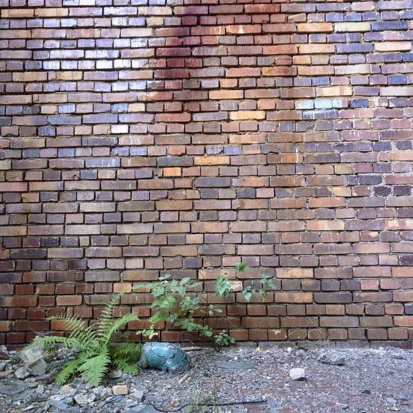 Groothoekzicht Een Oude Muur Verlaten Fabrieksgebouw — Stockfoto