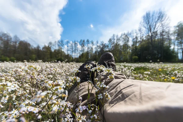 Natuurlijke Groene Kleurrijke Landelijke Weide Natuur Serie — Stockfoto