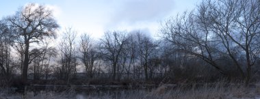 Mavi gökyüzü, doğal bulutlar, doğa serisi