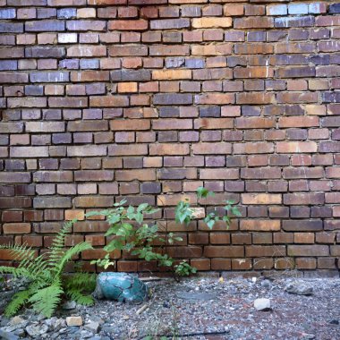 Terk edilmiş eski bir fabrika binasının geniş açılı görüntüsü