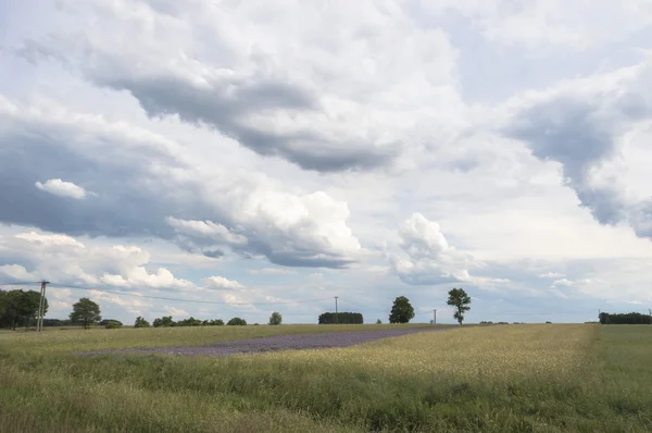 Cielo Blu Nuvole Naturali Serie Natura — Foto Stock