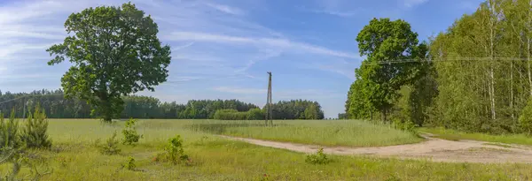 Натуральний Зелений Барвистий Сільський Луг Серія Природи — стокове фото