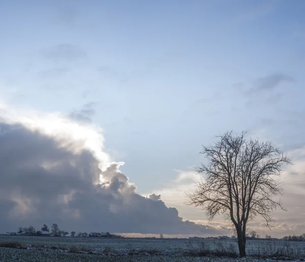 Blauer Himmel Natürliche Wolken Natur Serien — Stockfoto