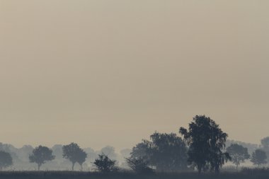 Mavi gökyüzü, doğal bulutlar, doğa serisi