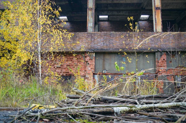 Ruines Une Usine Industrielle Très Polluée Série Industrielle — Photo