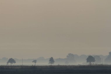Mavi gökyüzü, doğal bulutlar, doğa serisi