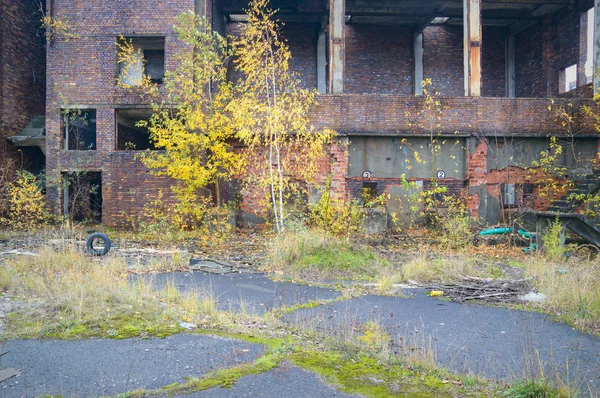 Ruiner Från Mycket Förorenad Industrifabrik Industriserie — Stockfoto