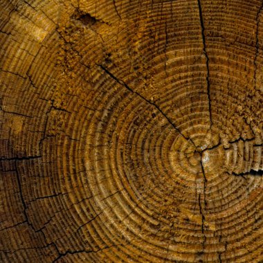 arka plan, doğa serisi için eski ahşap doku