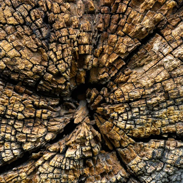 Oude Houtstructuur Voor Achtergrond Natuur Serie — Stockfoto