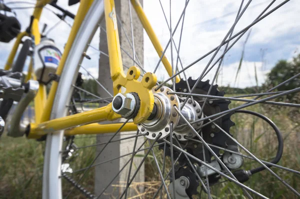 Färg Cykel Små Delar Cykeln Solig Dag — Stockfoto