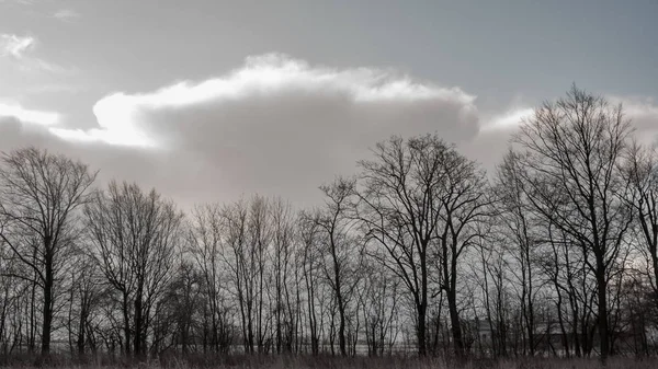 Cielo Blu Nuvole Naturali Serie Natura — Foto Stock