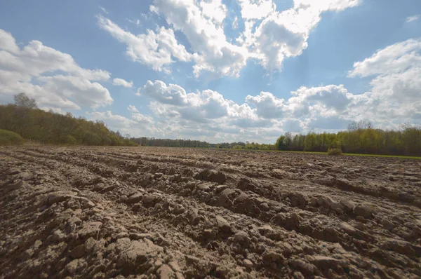 Campi Agricoli Natura Agricoltura Serie Agricole — Foto Stock