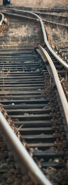 철로를 바라본 — 스톡 사진