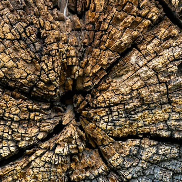 Старая Текстура Дерева Фона Серия Природы — стоковое фото