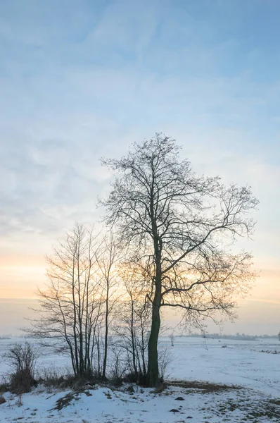 Modrá Obloha Přírodní Mraky Série Nature — Stock fotografie