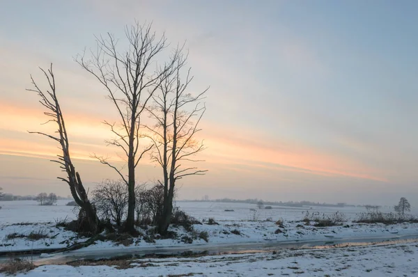 Modrá Obloha Přírodní Mraky Série Nature — Stock fotografie