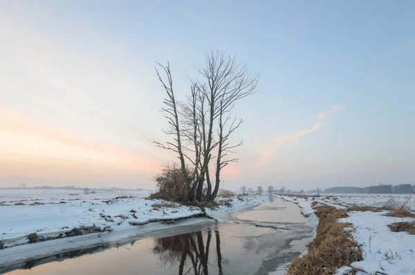 Modrá Obloha Přírodní Mraky Série Nature — Stock fotografie