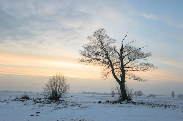 Blauer Himmel Natürliche Wolken Natur Serien — Stockfoto