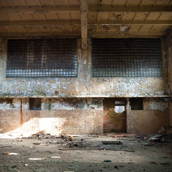 Ruins Very Heavily Polluted Industrial Factory Industrial Series — Stock Photo, Image