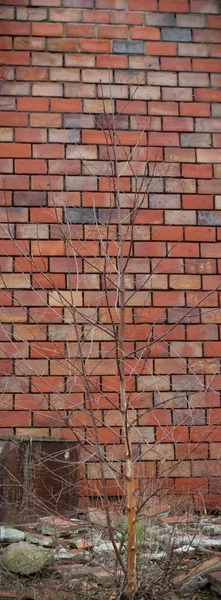 Weitwinkelblick Auf Eine Alte Mauer Verlassene Fabrikhalle — Stockfoto