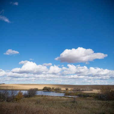 Güneşli bir günde demiryolu manzarası
