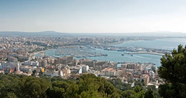 Panoramik of Palma — Stok fotoğraf