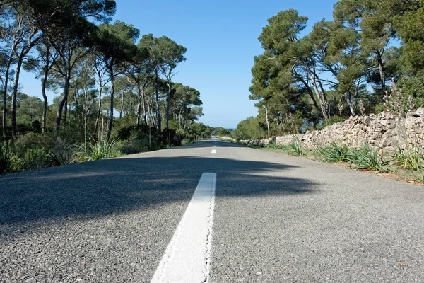 Mallorca Adası yolda