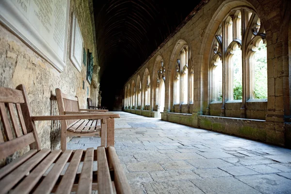 Yeni üniversite koridor