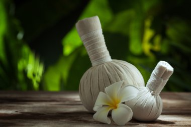 Arkadaki beyaz bitkisel sıkıştırma görüntüsünü kapat. 