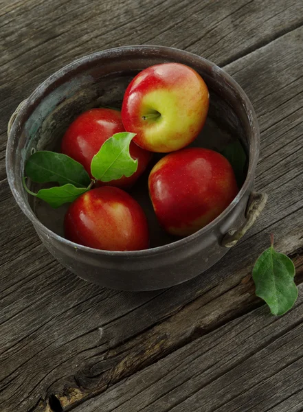 Close up view of nice fresh apples on color background — Stock Photo, Image